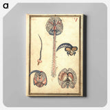 アートパネル-Anatomical Study of the Brain
 - 国立医学図書館 Canvas.