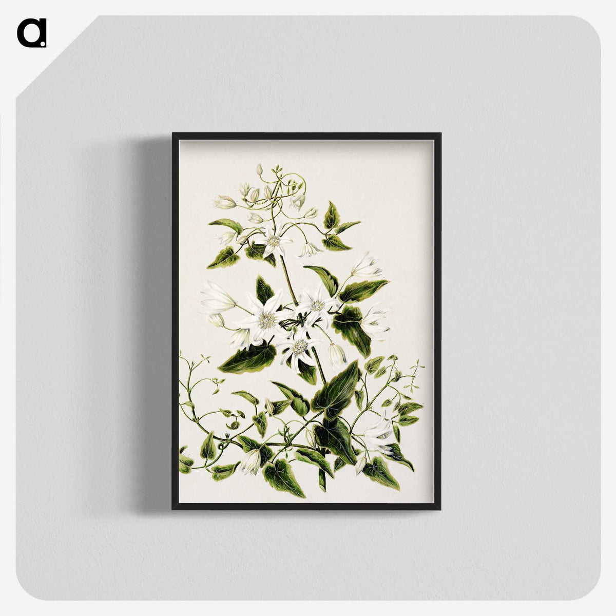 1-50_Native-Flowering-Plants-of-New-Zealand_blk-crop