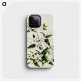 1-50_Native-Flowering-Plants-of-New-Zealand_phone