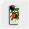 1-50_Nederlandsche-Flora-en-Pomona_phone