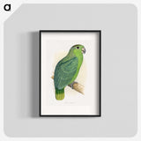 1-50_Parrots-in-Captivity_blk