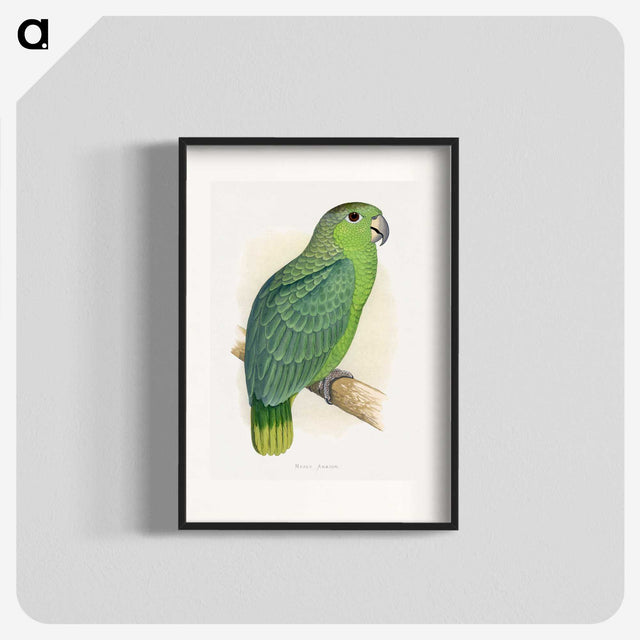 1-50_Parrots-in-Captivity_blk