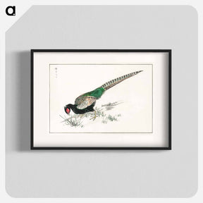 アートポスター-Green Pheasant Illustration
 - 鳥類図鑑 Poster.
