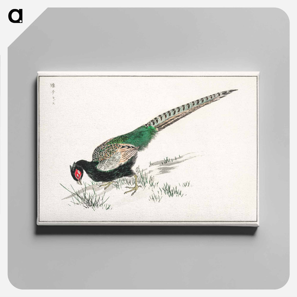 アートパネル-Green Pheasant Illustration
 - 鳥類図鑑 Canvas.