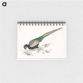 アートメモ帳-Green Pheasant Illustration
 - 鳥類図鑑 Memo.