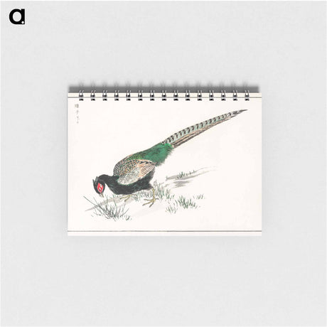 アートメモ帳-Green Pheasant Illustration
 - 鳥類図鑑 Memo.