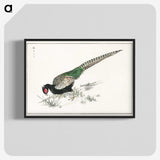 1-50_Pictorial-Monograph-of-Birds_blk-crop