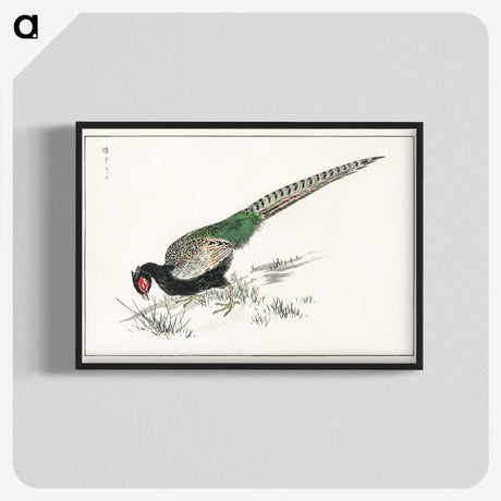 1-50_Pictorial-Monograph-of-Birds_blk-crop