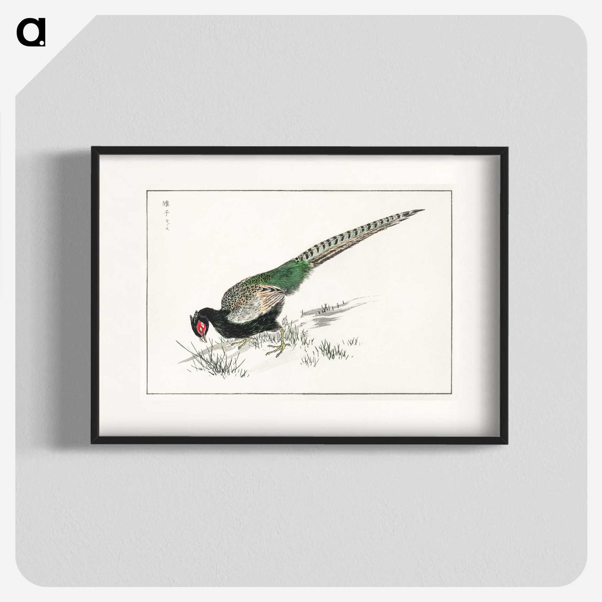 1-50_Pictorial-Monograph-of-Birds_blk