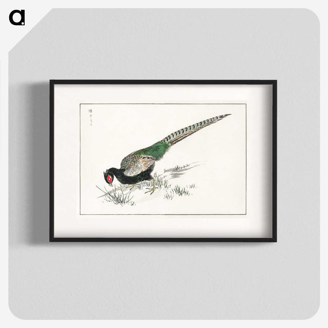 1-50_Pictorial-Monograph-of-Birds_blk