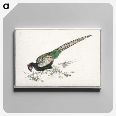 1-50_Pictorial-Monograph-of-Birds_canvas