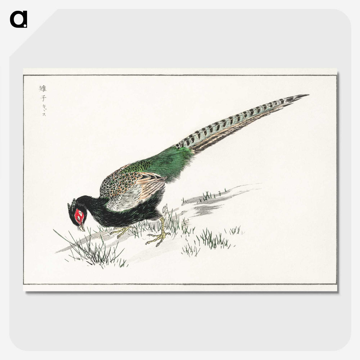 1-50_Pictorial-Monograph-of-Birds_picture-crop