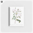 1-50_Pierre-Joseph-Redoute_memo