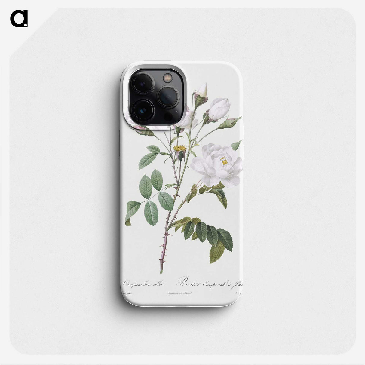 1-50_Pierre-Joseph-Redoute_phone