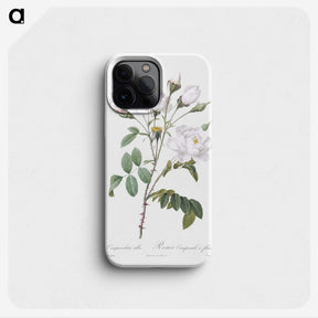 1-50_Pierre-Joseph-Redoute_phone