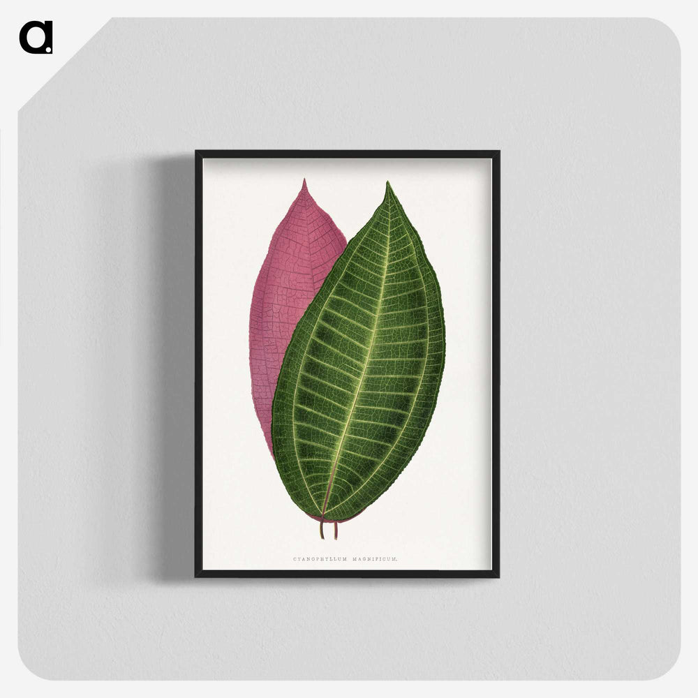 1-50_Plants-with-Colored-Foliage_blk-crop
