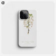 1-50_Pomona-Italiana_phone