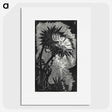 1-50_Reijer-Stolk_picture