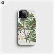 1-50_Robert-Jacob-Gordon_phone