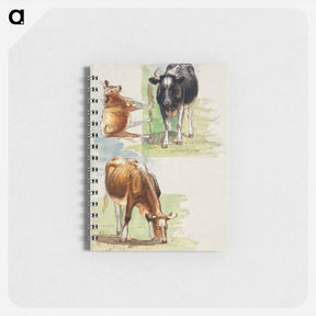 アートメモ帳-Cattle, Steers - サミュエル コールマン Memo.