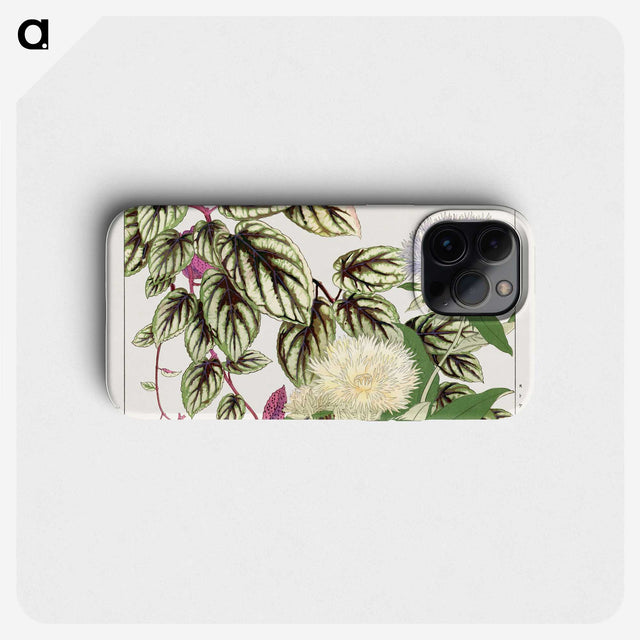 1-50_Seiyo-Soka-Zufu_phone
