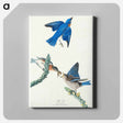 アートパネル-Blue-bird from Birds of America
 - アメリカの鳥たち Canvas.