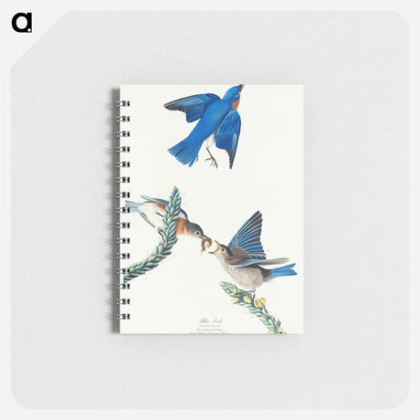 アートメモ帳-Blue-bird from Birds of America
 - アメリカの鳥たち Memo.