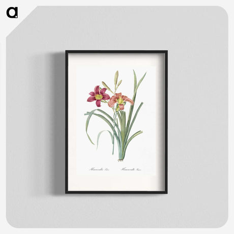 1-50_The-Lilies_blk