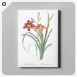 1-50_The-Lilies_canvas