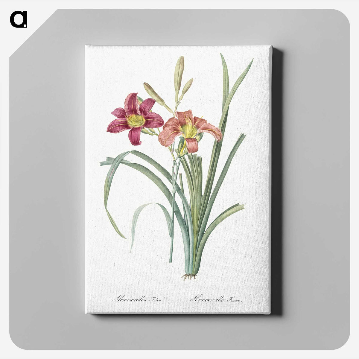 1-50_The-Lilies_canvas
