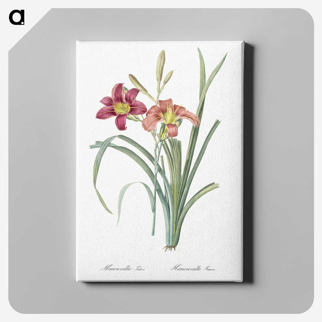 1-50_The-Lilies_canvas