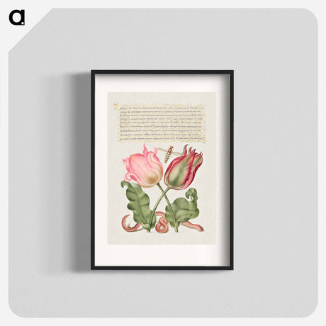 アートポスター-Tulips, Insect, and Worm from Mira Calligraphiae Monumenta
 - 書道のお手本 Poster.