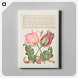 アートパネル-Tulips, Insect, and Worm from Mira Calligraphiae Monumenta
 - 書道のお手本 Canvas.