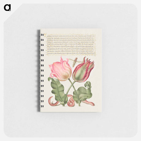 アートメモ帳-Tulips, Insect, and Worm from Mira Calligraphiae Monumenta
 - 書道のお手本 Memo.