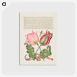 アートポストカード-Tulips, Insect, and Worm from Mira Calligraphiae Monumenta
 - 書道のお手本 Postcard.