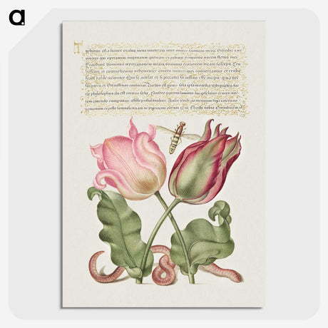 1-50_The-Model-Book-of-Calligraphy_picture-crop
