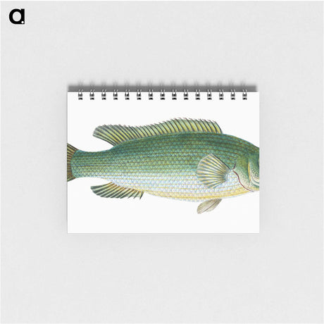1-50_The-Natural-History-of-British-Fishes_memo