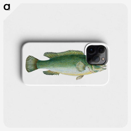 1-50_The-Natural-History-of-British-Fishes_phone