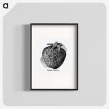 1-50_The-Open-Door-to-Independence_blk