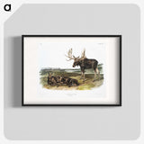 1-50_The-Viviparous-Quadrupeds_blk