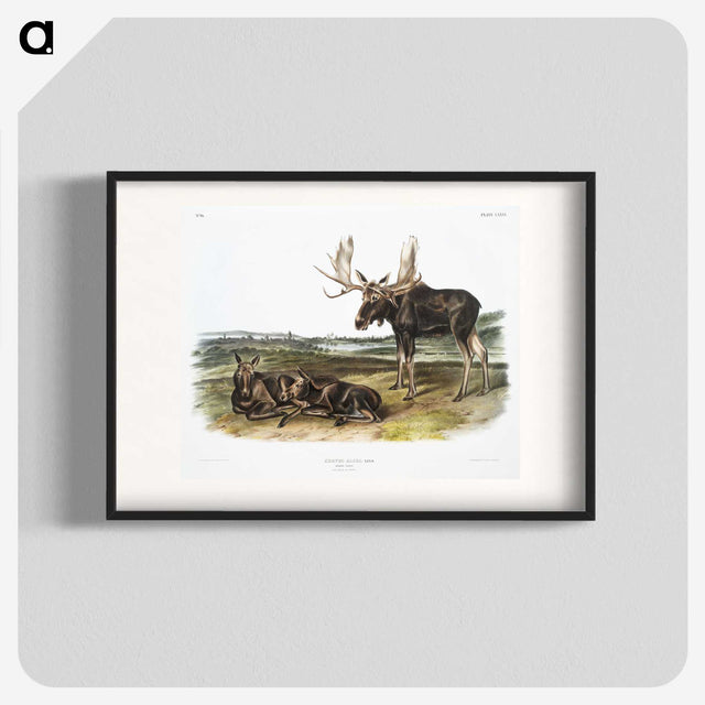 1-50_The-Viviparous-Quadrupeds_blk