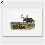 1-50_The-Viviparous-Quadrupeds_picture