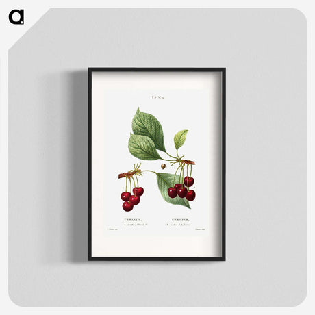 1-50_Treatise-on-Trees-and-Shrubs_blk