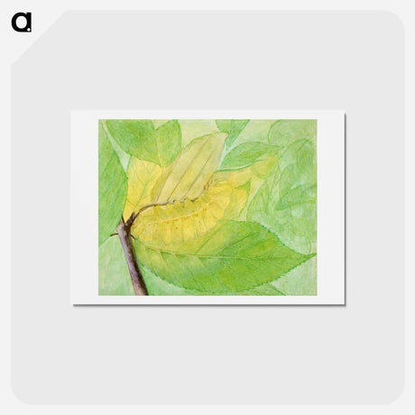 アートポストカード-Lunar Caterpillar - アボット ハンダーソン セイヤー Postcard.