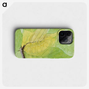 1-51_Abbott-Handerson-Thayer_phone