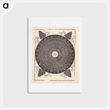 アートポストカード-Knob with white medallion - アルブレヒト デューラー Postcard.