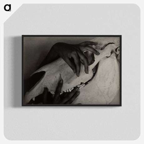 1-51_Alfred-Stieglitz_blk-crop