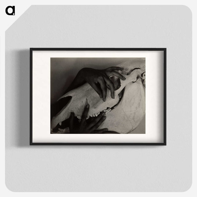 1-51_Alfred-Stieglitz_blk