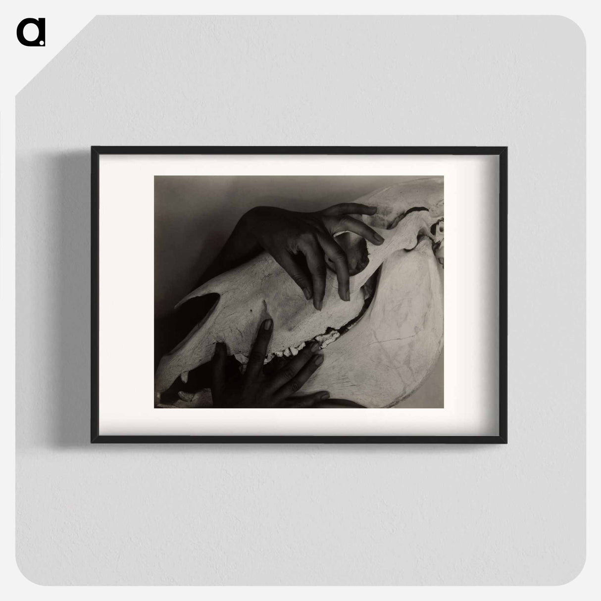 Hands and Horse Skull - アルフレッド スティーグリッツ Poster.