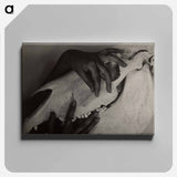Hands and Horse Skull - アルフレッド スティーグリッツ Canvas.